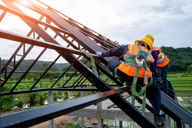 Best Roof Leak Repair  in Belford, NJ