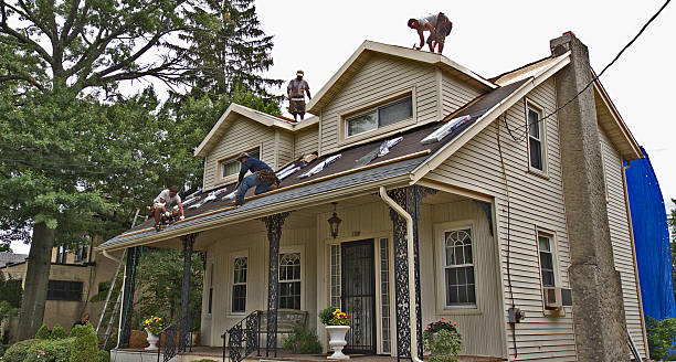 Best Metal Roofing Contractor  in Belford, NJ